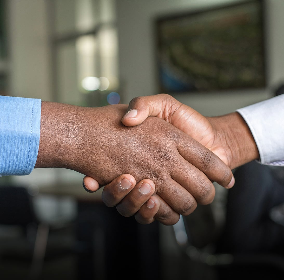 Consulting and customs services